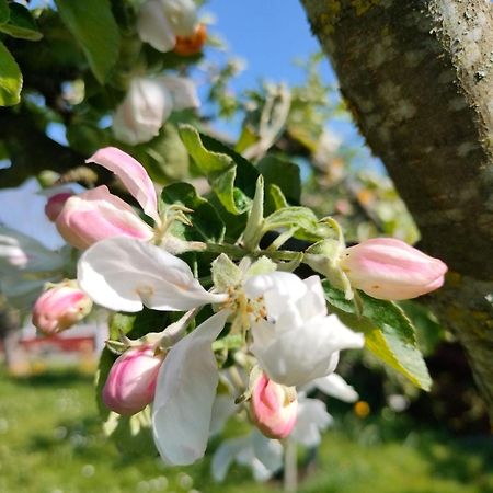 Sommarvilan Vaxholm Zewnętrze zdjęcie